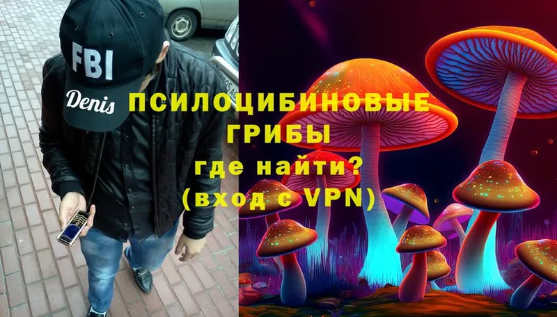 Псилоцибиновые грибы Magic Shrooms  Талдом 